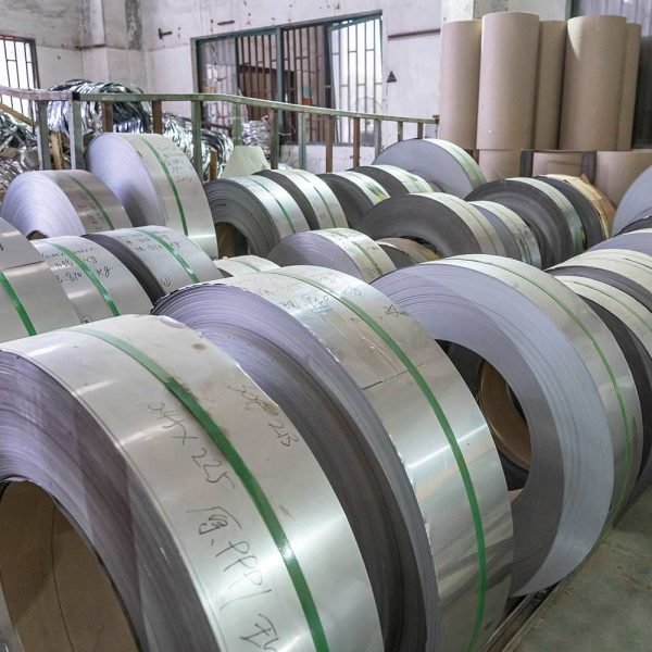 spring stainless steel strip