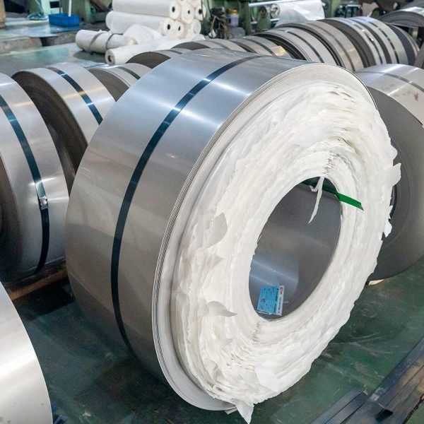 spring stainless steel strip (6) spring stainless steel strip