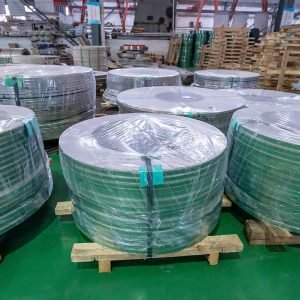 spring stainless steel strip